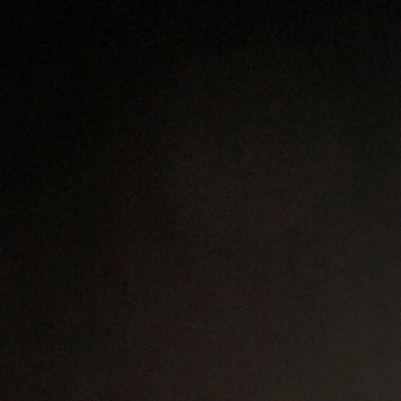 Meet your Posher, Riley - Picture 1 of 1